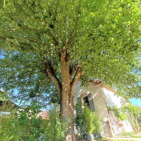 Ferienhaus Garona 6 Pers Avec Billard Proche Pyrenees *