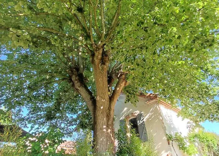 度假居 Garona 6 Pers Avec Billard Proche Pyrenees *